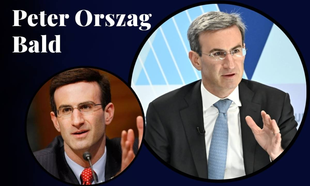 peter orszag bald